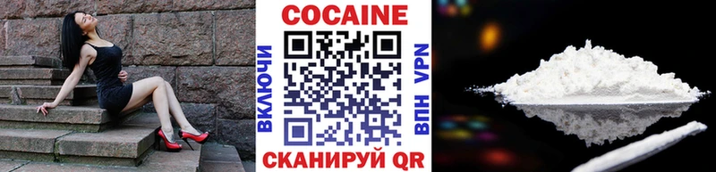 Купить закладки  Подпорожье  Кокаин Fish Scale 