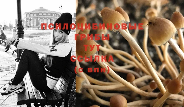 винт Бугульма