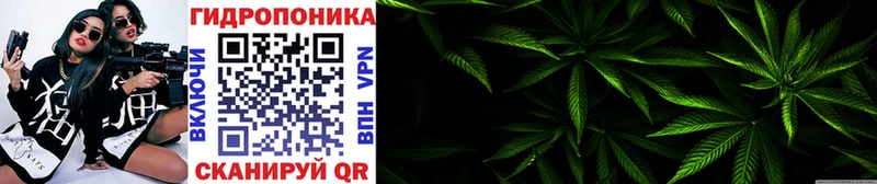 Конопля гибрид  Купить закладки  Подпорожье 